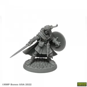Dungeon Dwellers (Mellonir Windrunner, Elf Fighter 7026) | Bones USA TTRPG Miniature